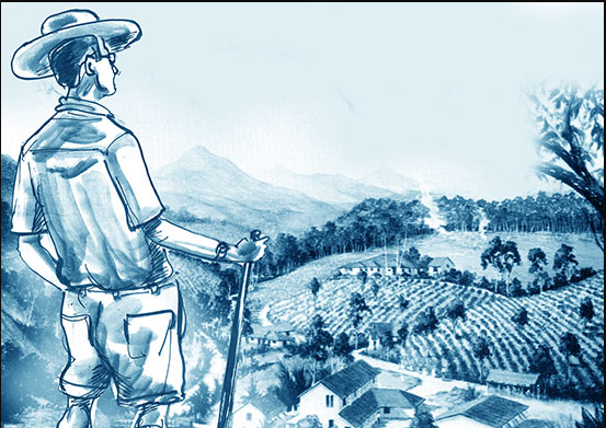 Planters’ lives: the myth and the facts