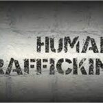 Another 91 held in aborted illegal sea voyage: Human traffickers exploiting current economic crisis - By LEON BERENGER