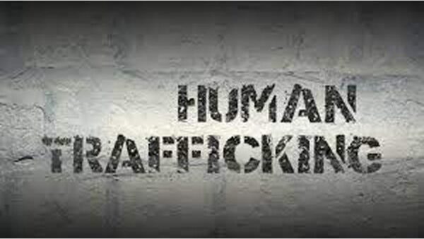 Another 91 held in aborted illegal sea voyage: Human traffickers exploiting current economic crisis - By LEON BERENGER