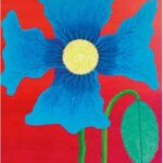 Meconopsis betonicifolia