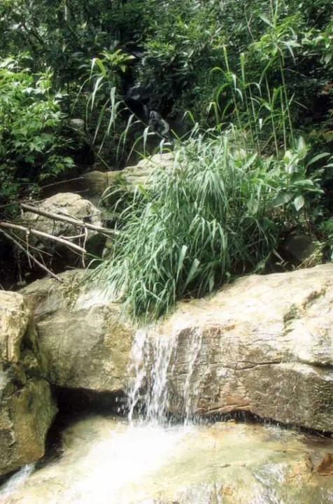 Garunda Rock