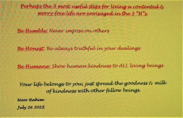 My Lesson on Life – by Noor Rahim