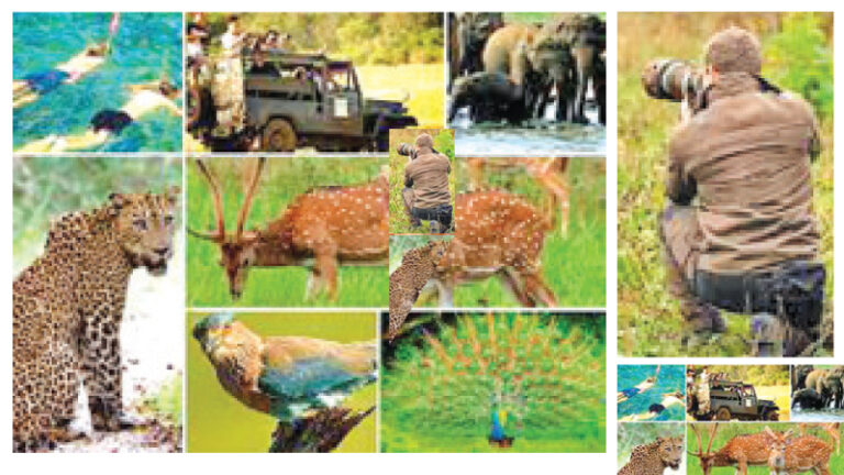 Elephant Reach Yala to host ‘Wildlife Photography Competition