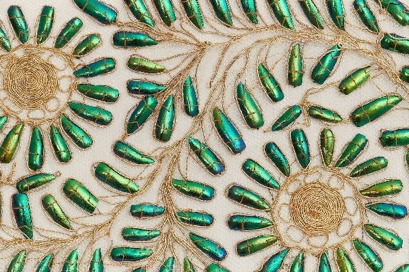 India turns 76 Independence Day events in your city