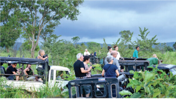 Tourists bring much needed Dollars