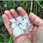 A hailstorm at Dankotuwa - By GEORGE BRAINE