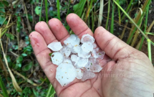 A hailstorm at Dankotuwa – By GEORGE BRAINE