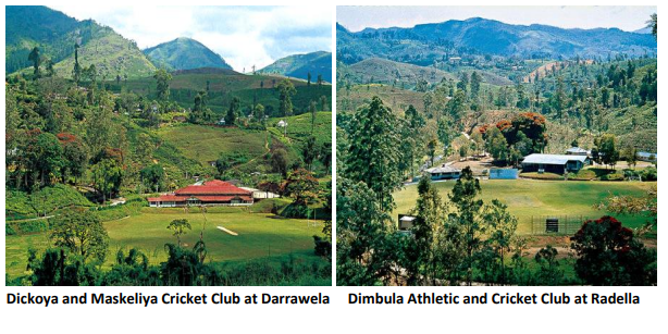 HISTORY OF TEA AND CRICKET IN SRILANKA - By Dr. Gnana Sankaralingam