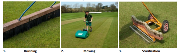 PITCH PREPARATION FOR A MATCH - By Dr. Gnana Sankaralingam