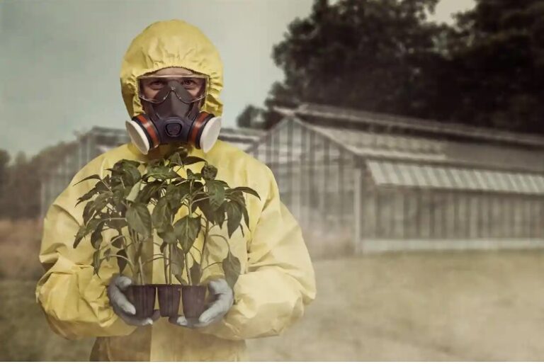 Australian food is grown with dangerous chemicals banned in other countries