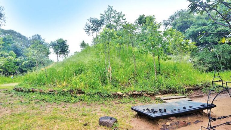 Wattarama: The hermitage in the wilderness- BY MAHIL WIJESINGHE