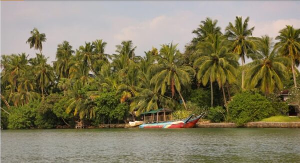 Sri Lankan cuisine