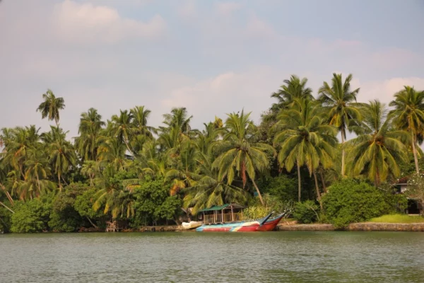 Sri Lankan cuisine