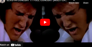 "ELVIS IN CONCERT" – by Des Kelly