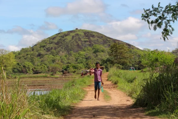 A child walks to the fields with a mammoty to help his parents in Pussellayaya, a village by the Wasgamuwa National Park [Nathan Mahendra/Al Jazeera]