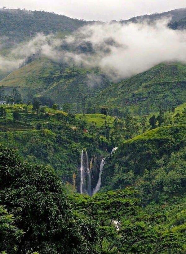 green sri lanka