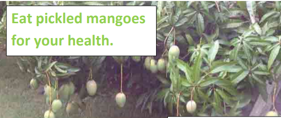 Eat pickled mangoes for your health. – Dr Harold Gunatillake