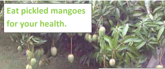 mangoes