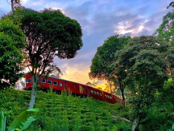 sri lankan train