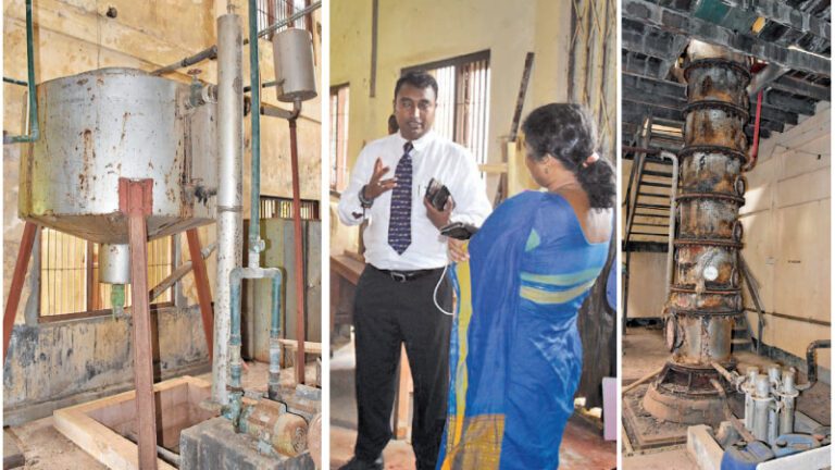 World’s largest Palmyra distillery to open in Tikkam, Jaffna in Dec.-by Shirajiv Sirimane