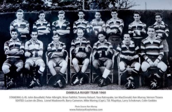 Dimbulla Rugby Team 1960