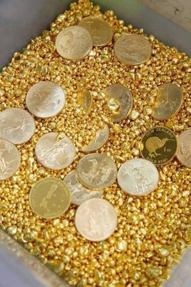 GOLD-FEVER