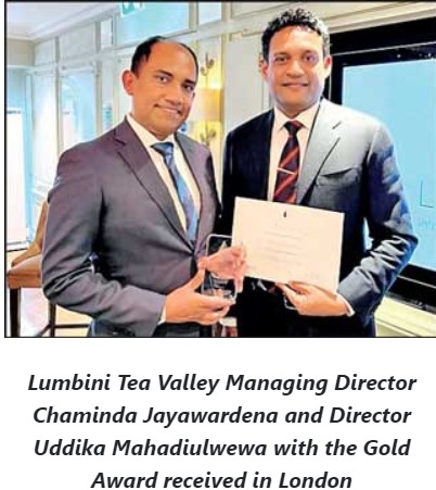 Lumbini Tea Valley Managing Director