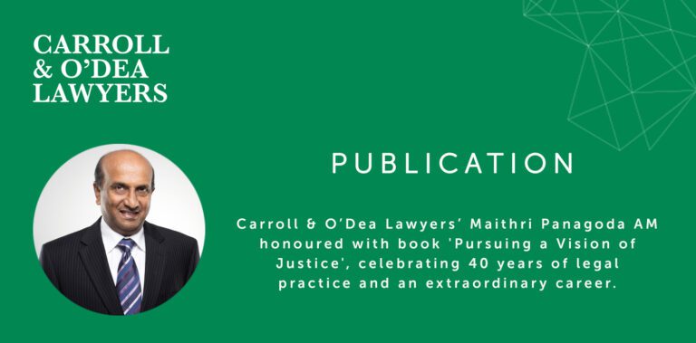 Pursuing a Vision of Justice-by Hanaan Indari