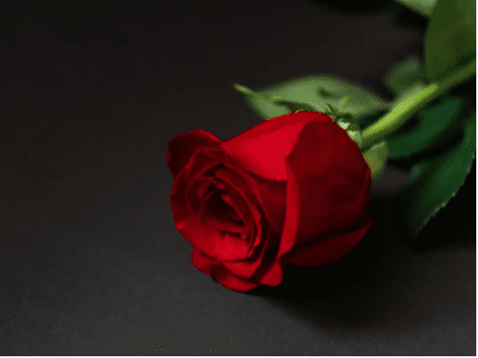 But Beautiful - by Peter de Niese