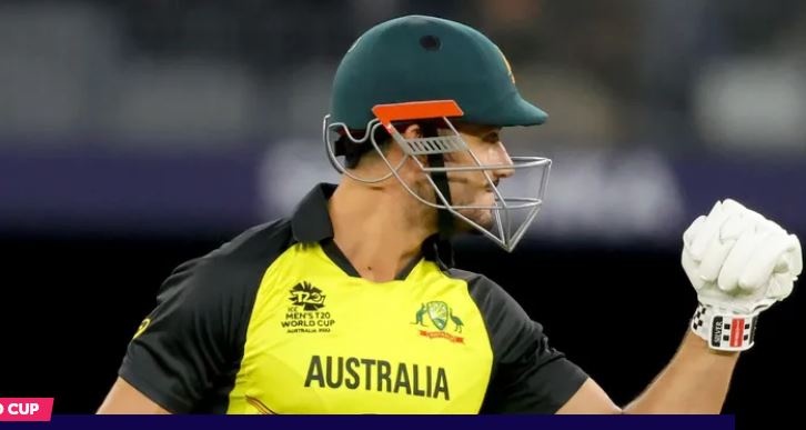 stoinis