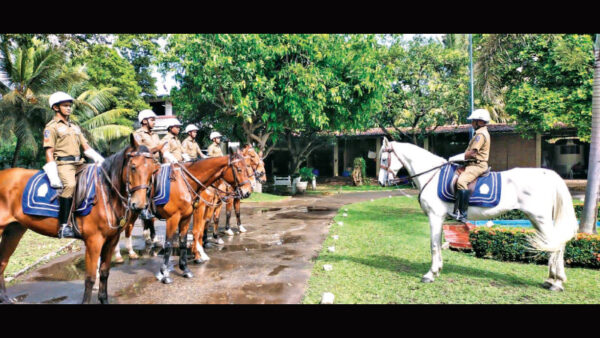 100 years of Equestrian Excellence