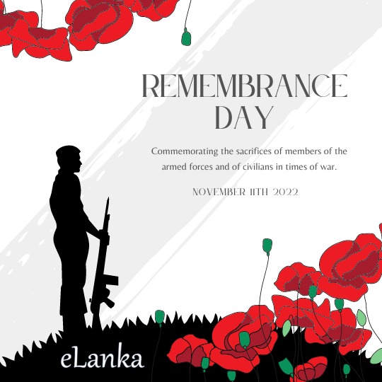 ARMED FORCES REMEMBRANCE DAY AND POPPY CEREMONY