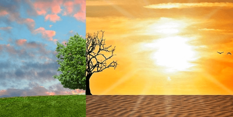 WHY NOT CLIMATE MEET IN  EGYPT  DISCUSS  POPULATION CONTROL? – by N.S.Venkataraman