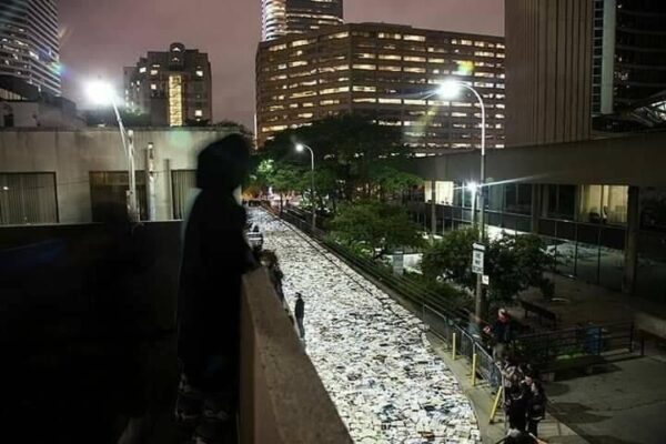 A river of donated books