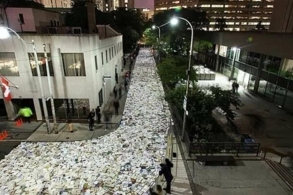 A river of donated books