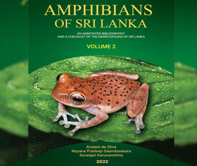 Three veteran herpetologists to launch book on Amphibians of Sri Lanka today-By Ifham Nizam