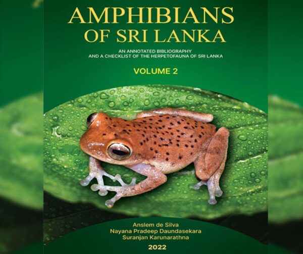 Amphibians of Sri Lanka
