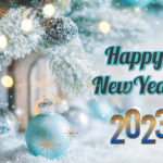 Happy new year | elanka