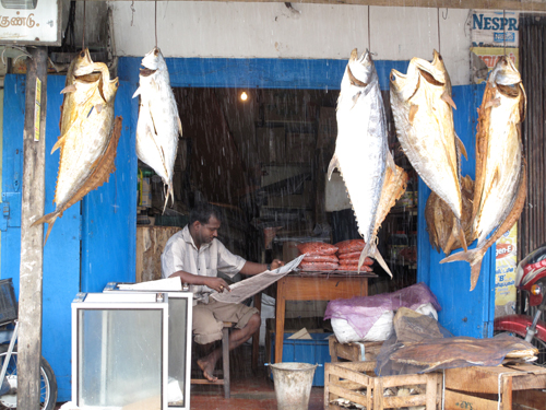 Jaffna Market