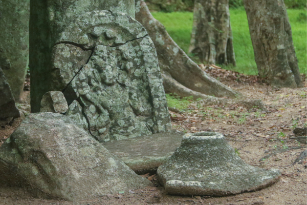 Kaludiya Pokuna: Convergence of History, Archaeology and Panorama – By Arundathie Abeysinghe