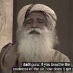 Sadhguru Exclusive