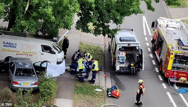 Schoolboy, 17, killed in horror car crash after a 90-year-old driver veered off the road excelled in maths and dreamed of becoming an aeronautical engineer - as his heartbroken parents speak out - By Antoinette Milienos