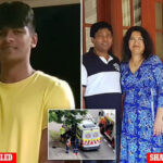 Schoolboy, 17, killed in horror car crash after a 90-year-old driver veered off the road excelled in maths and dreamed of becoming an aeronautical engineer - as his heartbroken parents speak out - By Antoinette Milienos