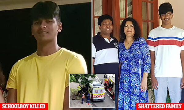 Schoolboy, 17, killed in horror car crash after a 90-year-old driver veered off the road excelled in maths and dreamed of becoming an aeronautical engineer - as his heartbroken parents speak out - By Antoinette Milienos