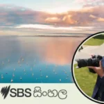 Sri Lankan who graced the cover of Geelong calendar for the first time in history speaks to SBS Sinhala - By Madhura Seneviratne