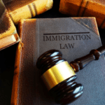 Trials and Tribulations of Immigration.