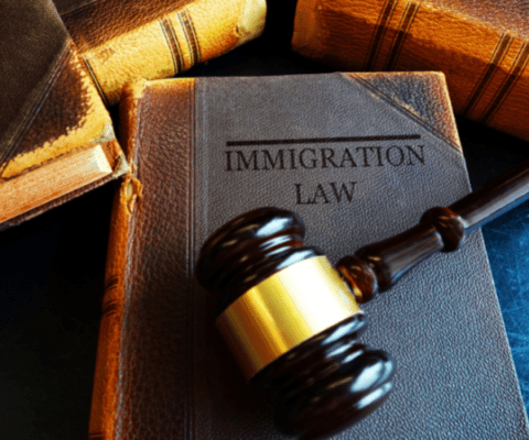 Trials and Tribulations of Immigration.
