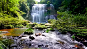 “LOVE SONG OF THE WATERFALLS” – by Des Kelly