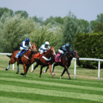 horse