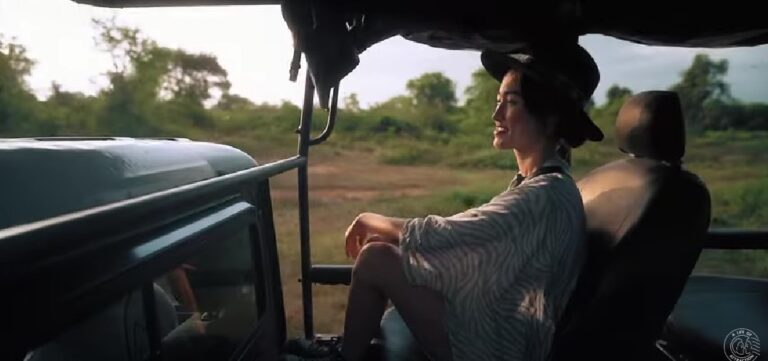 2 Weeks in Sri Lanka | A Cinematic Travel Film